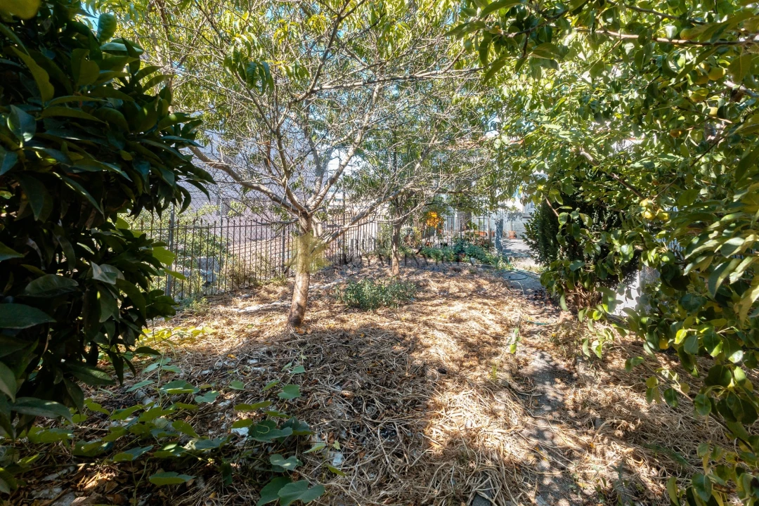 Prédio para Venda em Cedofeita, Santo Ildefonso, Sé, Miragaia, São Nicolau e Vitória Foto 38