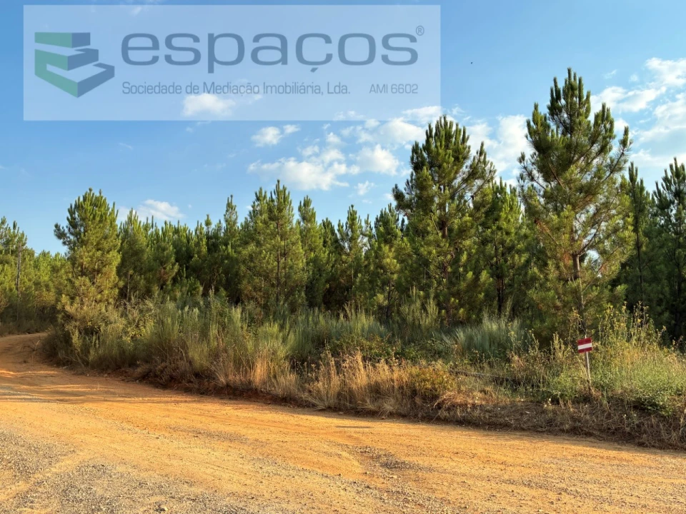 Terreno para Venda em Lavacolhos Foto 6