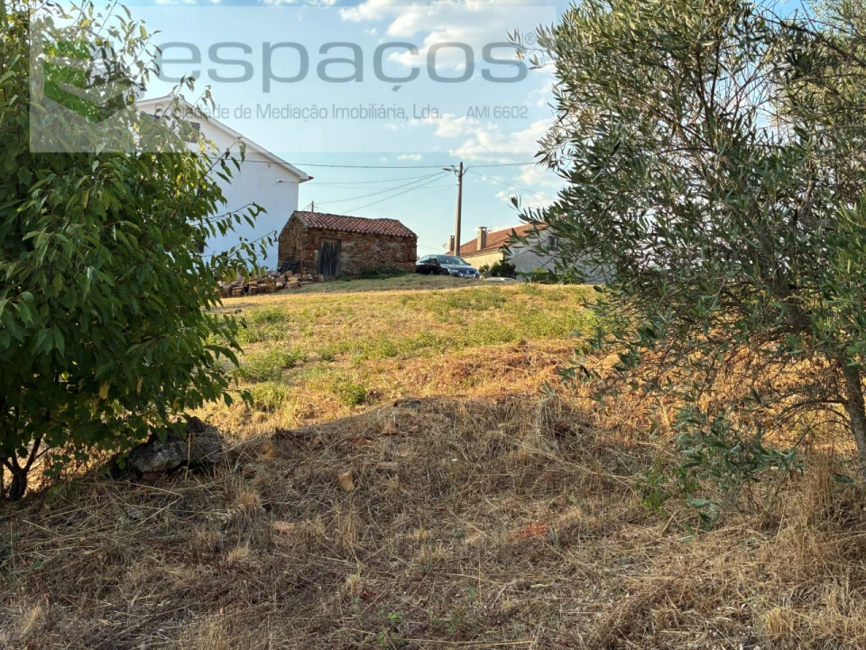 Terreno para Venda em Lavacolhos Foto 16