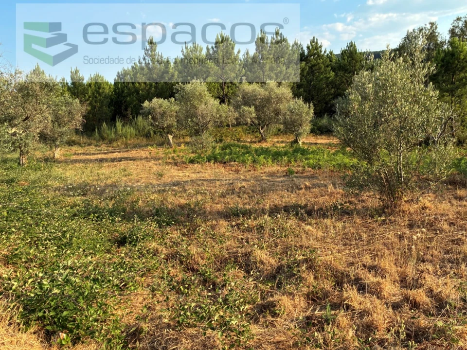 Terreno para Venda em Lavacolhos Foto 18