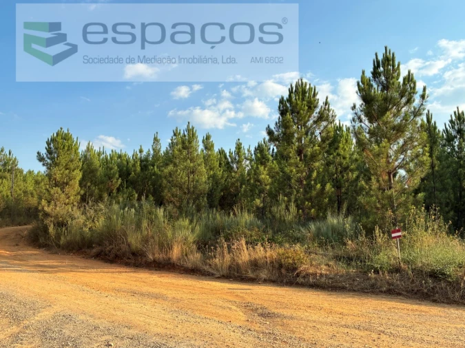 Terreno para Venda em Lavacolhos Foto 6
