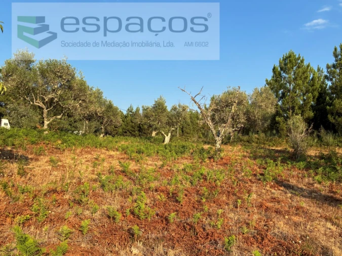Terreno para Venda em Lavacolhos Foto 13