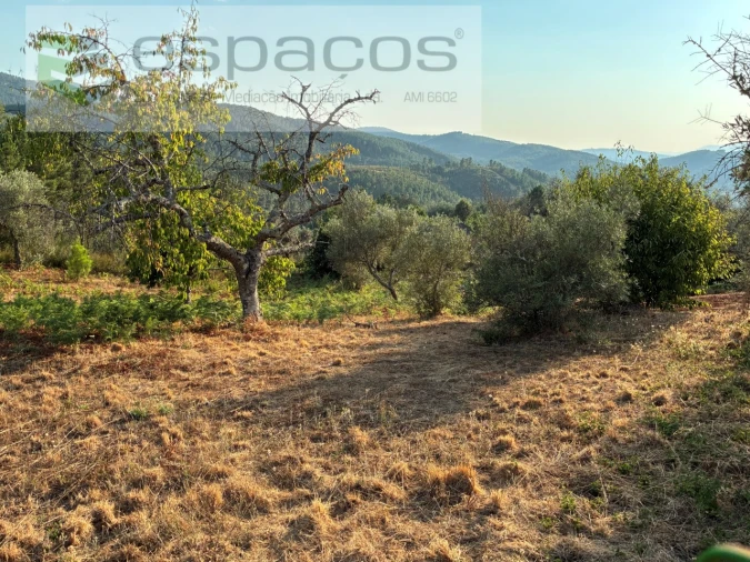 Terreno para Venda em Lavacolhos Foto 20