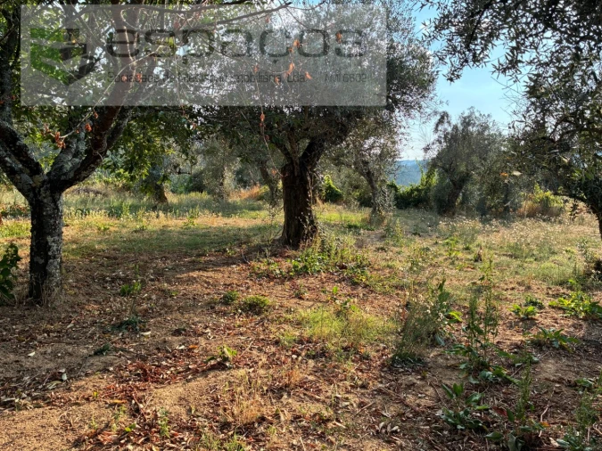 Moradia T5 para Venda em Lavacolhos Foto 73