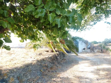 Moradia T3 para Venda em São Vicente do Paul e Vale de Figueira