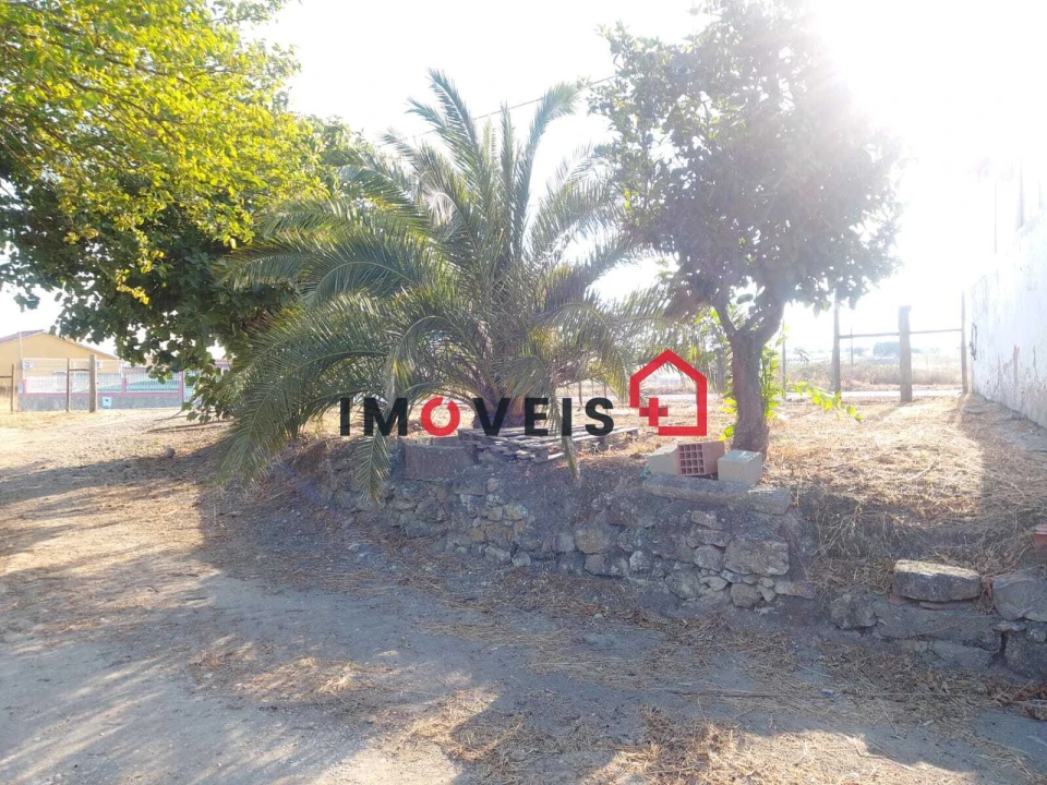 Moradia T3 para Venda em São Vicente do Paul e Vale de Figueira Foto 9