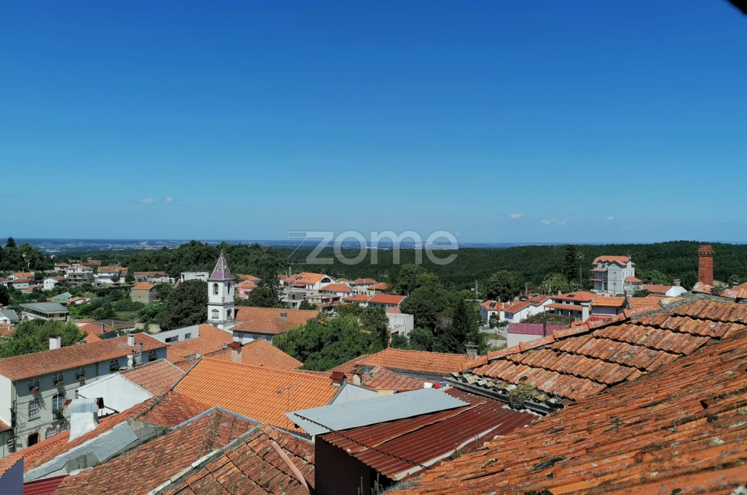 Negócio para Venda em Luso Foto 19