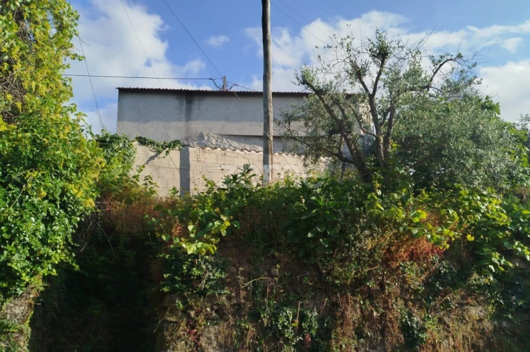 Moradia T2 para Venda em Tavares (Chãs, Várzea e Travanca) Foto 5