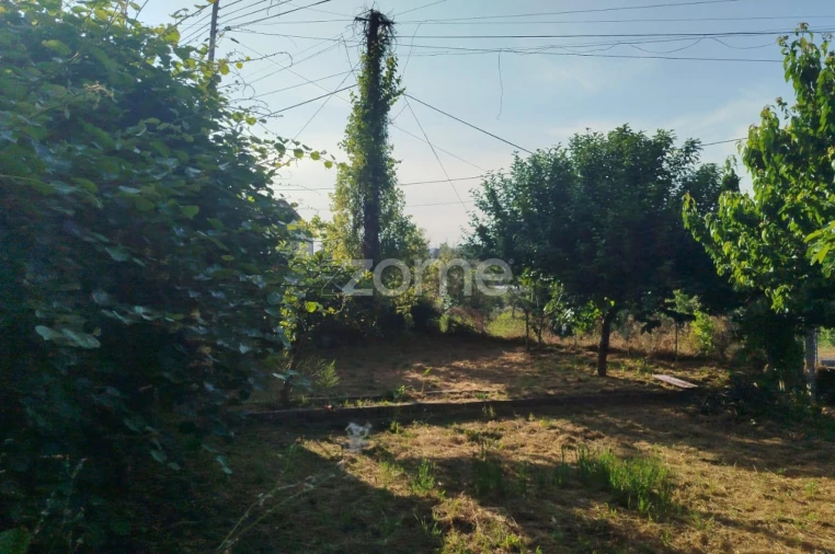 Moradia T2 para Venda em Tavares (Chãs, Várzea e Travanca) Foto 11