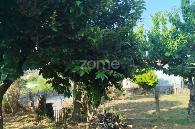 Moradia T2 para Venda em Tavares (Chãs, Várzea e Travanca) Foto 25