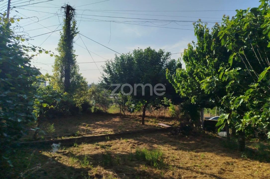 Moradia T2 para Venda em Tavares (Chãs, Várzea e Travanca) Foto 12