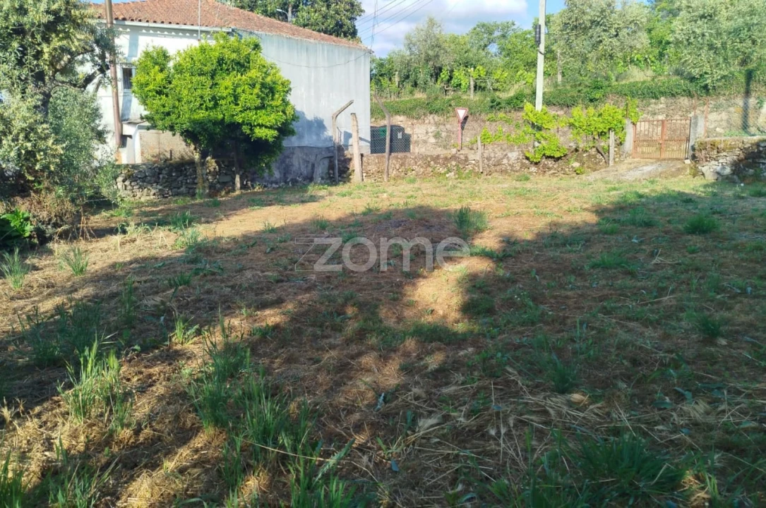 Moradia T2 para Venda em Tavares (Chãs, Várzea e Travanca) Foto 19