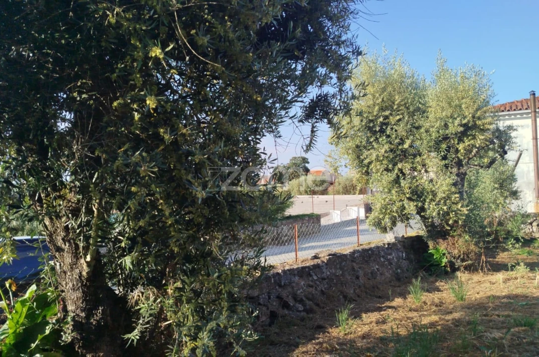 Moradia T2 para Venda em Tavares (Chãs, Várzea e Travanca) Foto 24