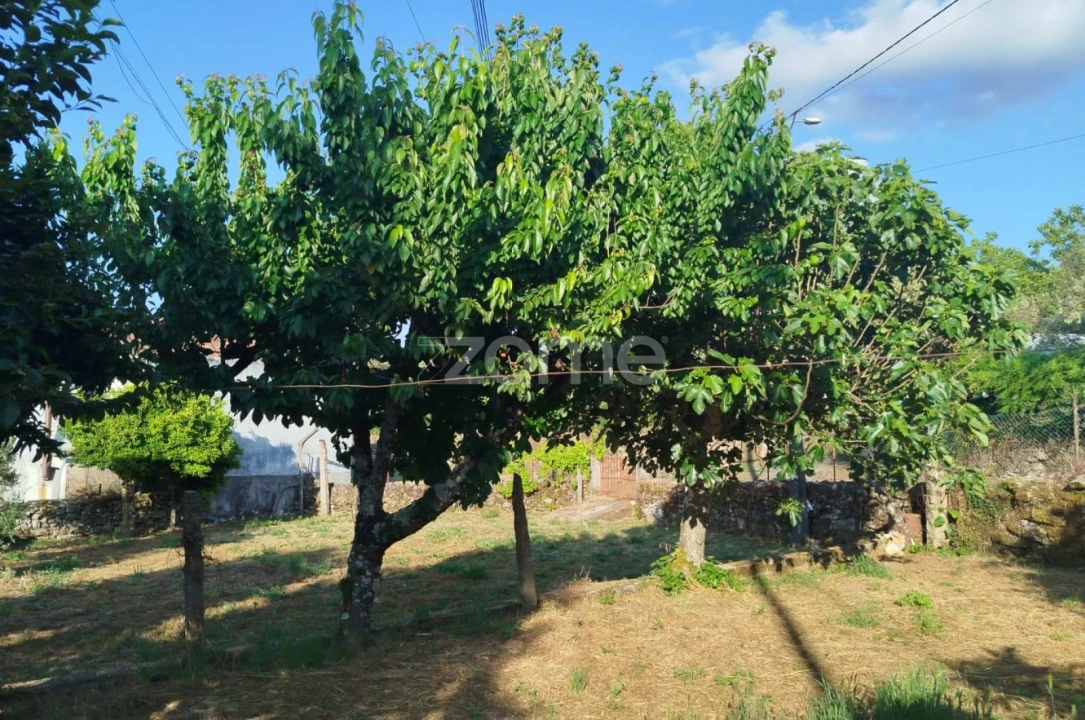 Moradia T2 para Venda em Tavares (Chãs, Várzea e Travanca) Foto 23
