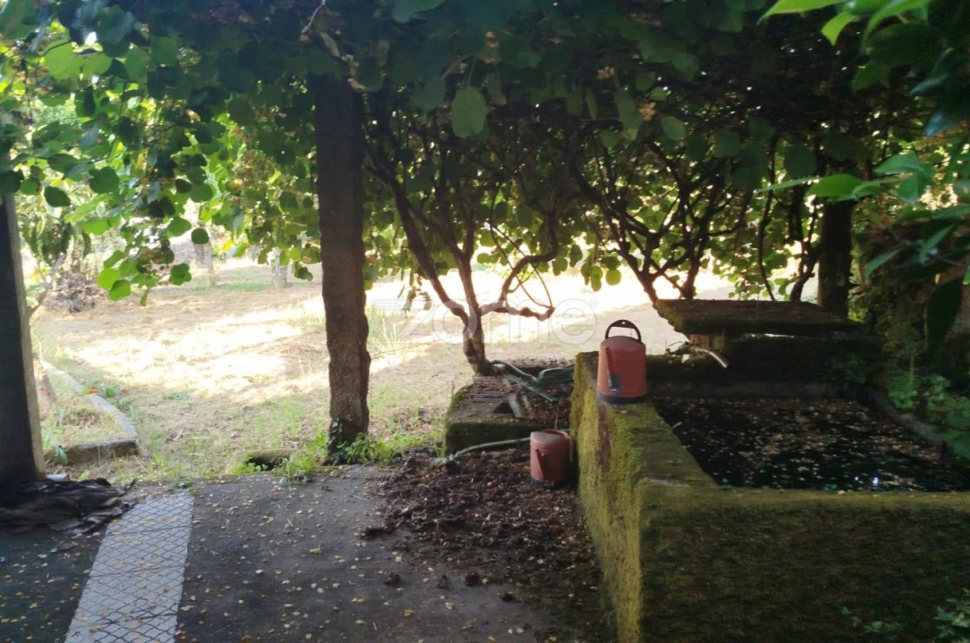 Moradia T2 para Venda em Tavares (Chãs, Várzea e Travanca) Foto 14