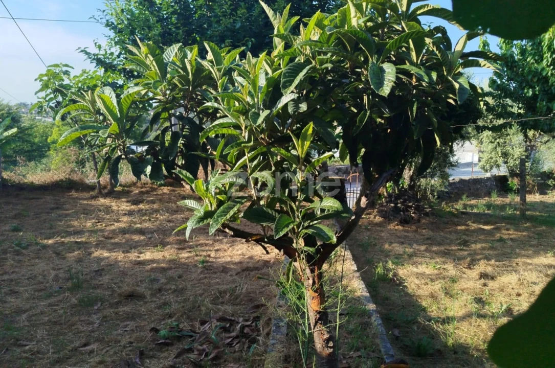 Moradia T2 para Venda em Tavares (Chãs, Várzea e Travanca) Foto 21