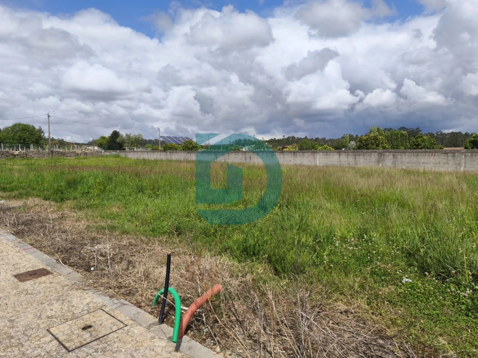 Terreno para Venda em Gião Foto 4