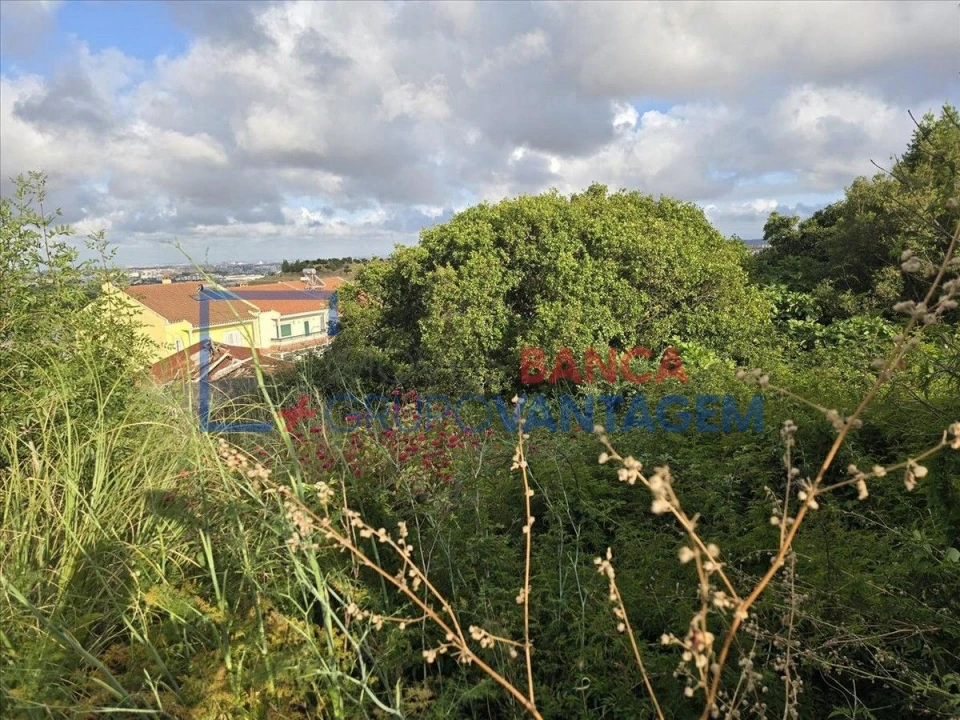 Terreno Misto para Venda em Mina de Água Foto 1