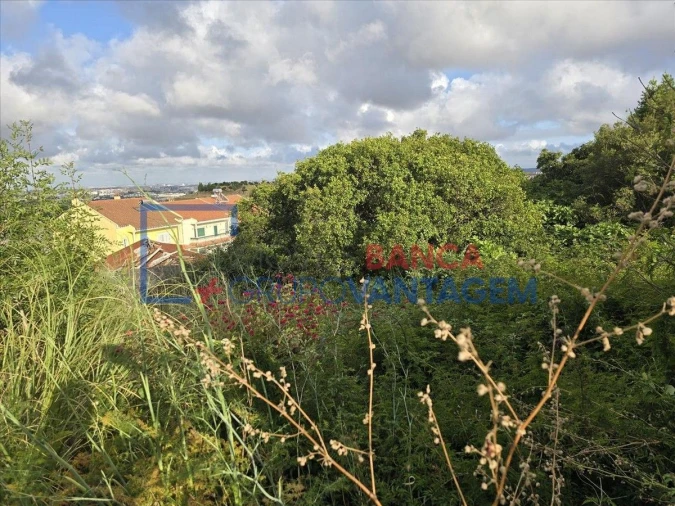 Terreno Misto para Venda em Mina de Água Foto 1