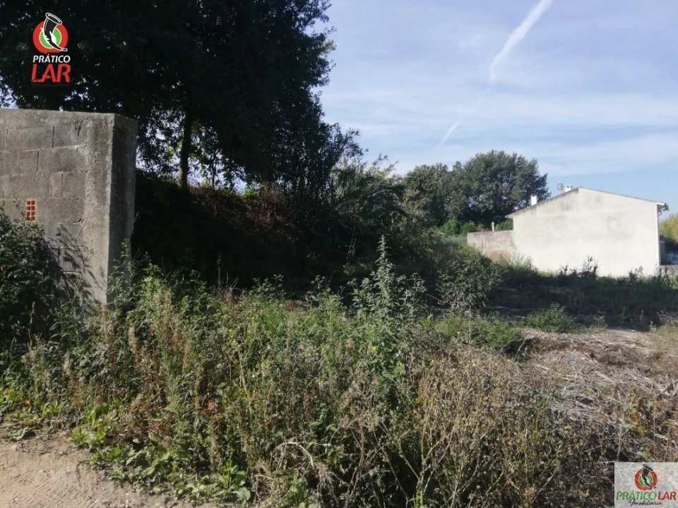 Terreno para Venda em Oliveira do Bairro Foto 8