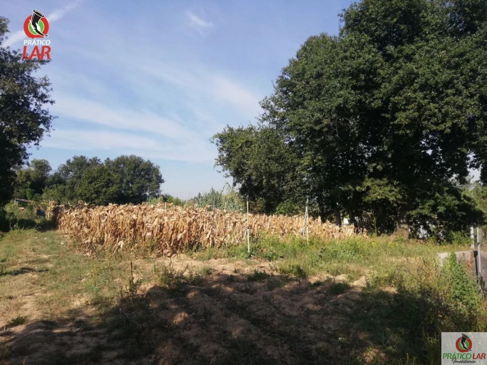 Terreno para Venda em Oliveira do Bairro Foto 3