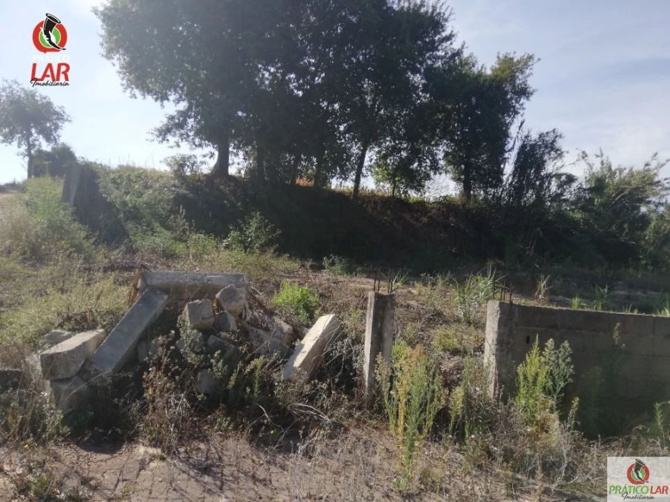 Terreno para Venda em Oliveira do Bairro Foto 12