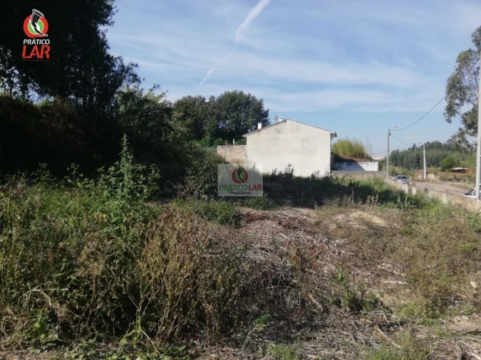 Terreno para Venda em Oliveira do Bairro Foto 9