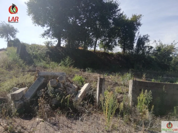Terreno para Venda em Oliveira do Bairro Foto 12