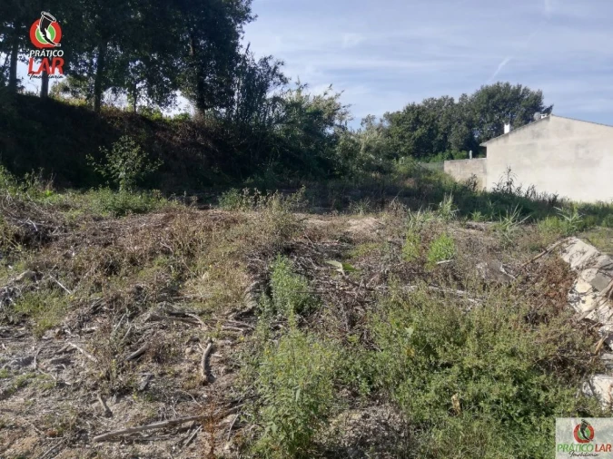 Terreno para Venda em Oliveira do Bairro Foto 11