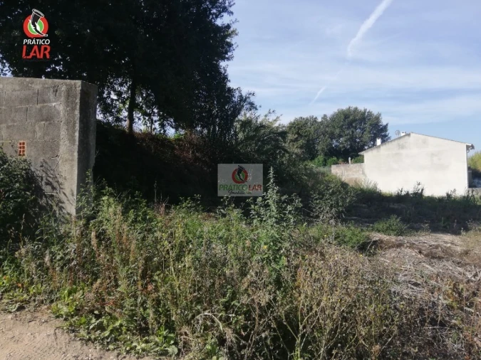 Terreno para Venda em Oliveira do Bairro Foto 8