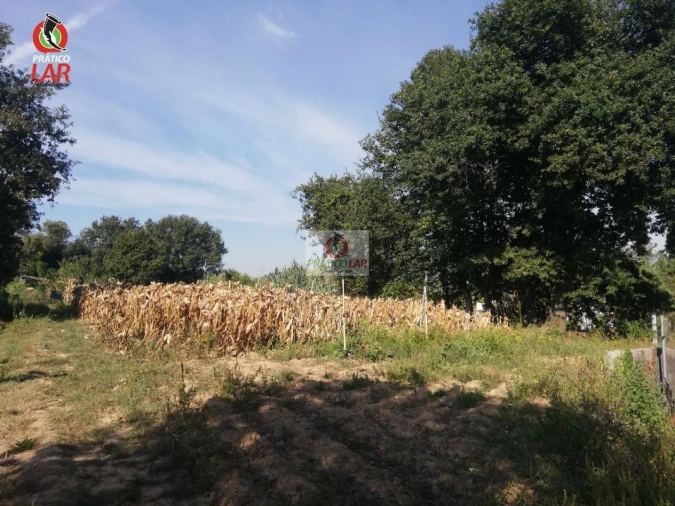 Terreno para Venda em Oliveira do Bairro Foto 3