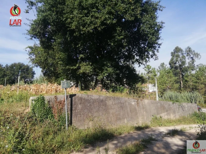 Terreno para Venda em Oliveira do Bairro Foto 7