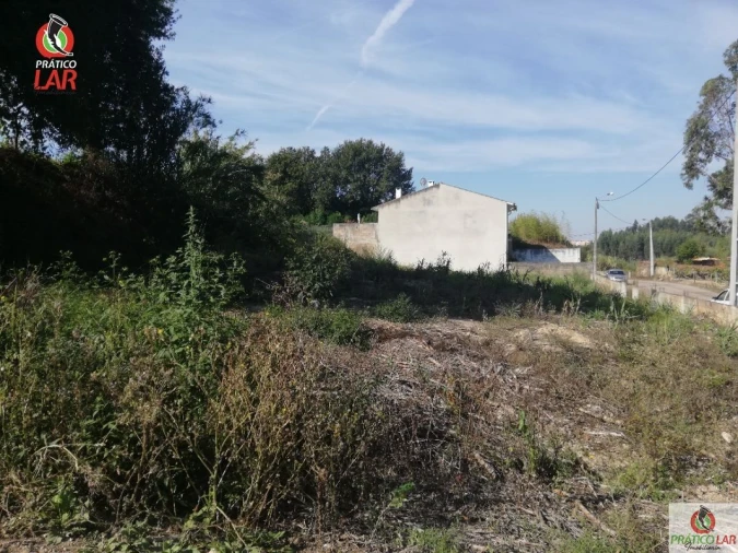 Terreno para Venda em Oliveira do Bairro Foto 9