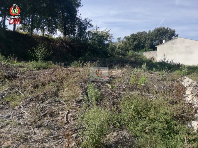 Terreno para Venda em Oliveira do Bairro Foto 11