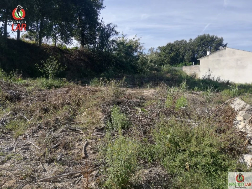 Terreno para Venda em Oliveira do Bairro Foto 11