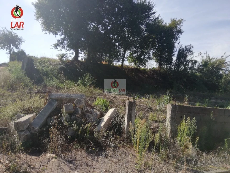 Terreno para Venda em Oliveira do Bairro Foto 12