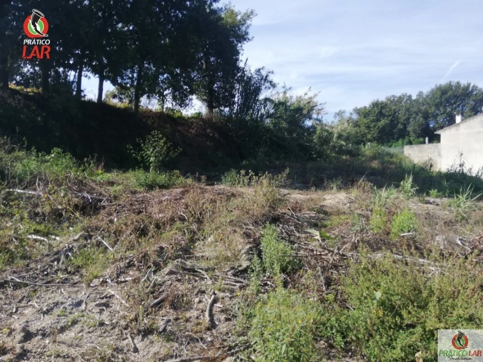 Terreno para Venda em Oliveira do Bairro Foto 10