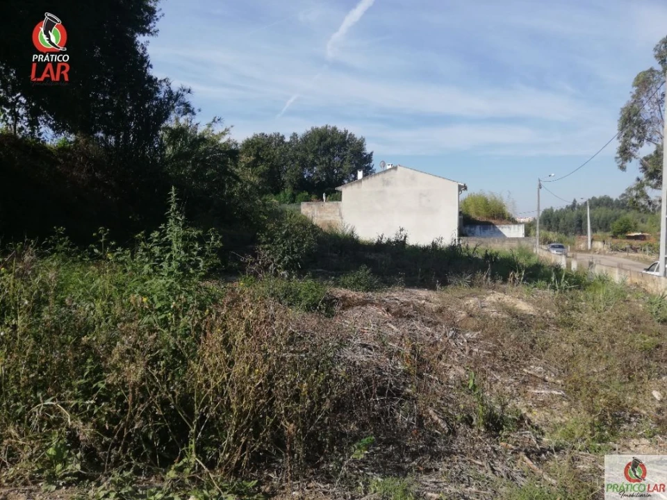 Terreno para Venda em Oliveira do Bairro Foto 9