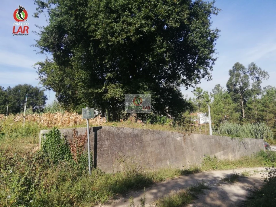 Terreno para Venda em Oliveira do Bairro Foto 7