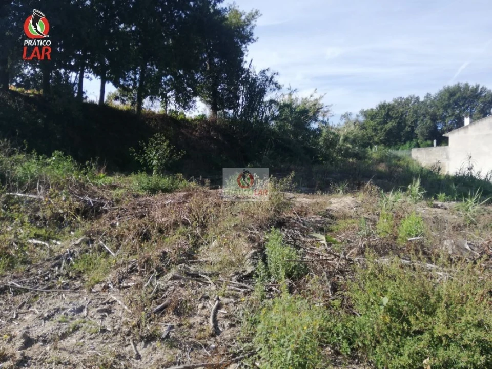Terreno para Venda em Oliveira do Bairro Foto 10
