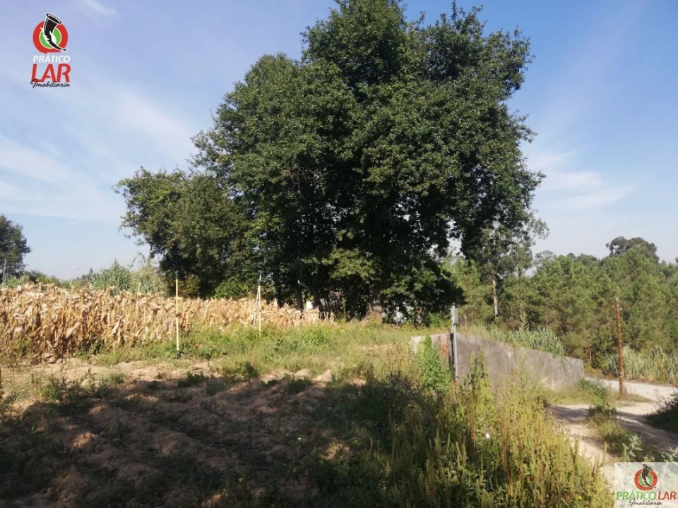 Terreno para Venda em Oliveira do Bairro Foto 4