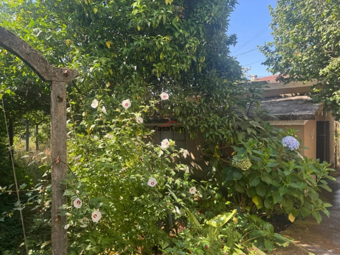 Moradia T3 para Venda em Viseu Foto 6