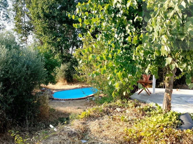 Quinta T3 para Venda em Lagos da Beira e Lajeosa Foto 37