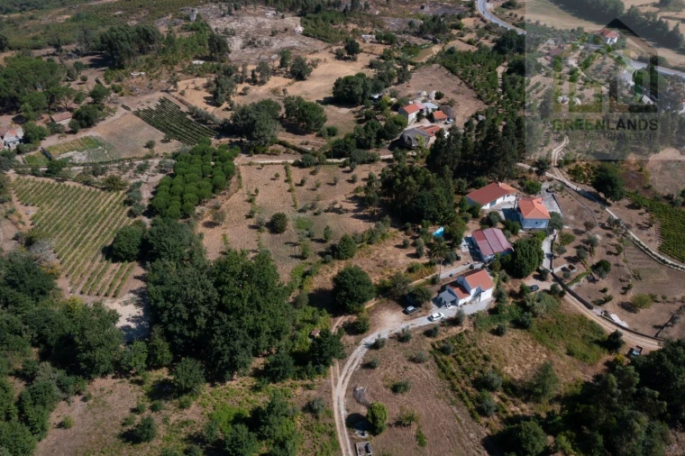 Quinta T3 para Venda em Lagos da Beira e Lajeosa Foto 4