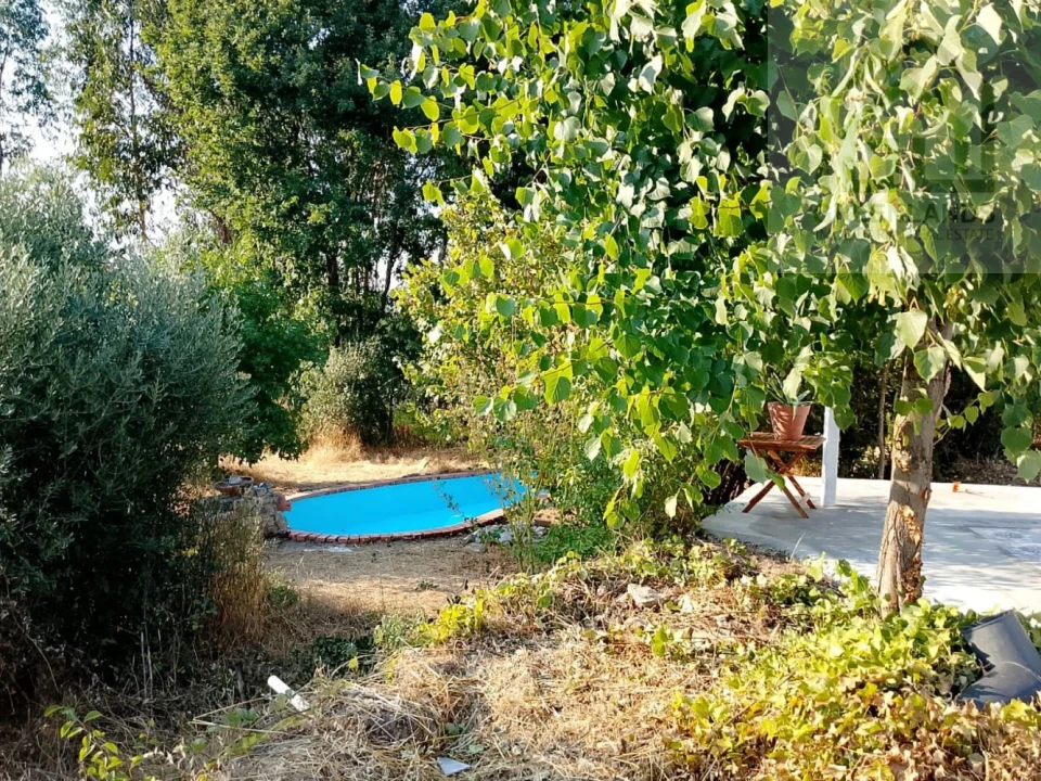 Quinta T3 para Venda em Lagos da Beira e Lajeosa Foto 37