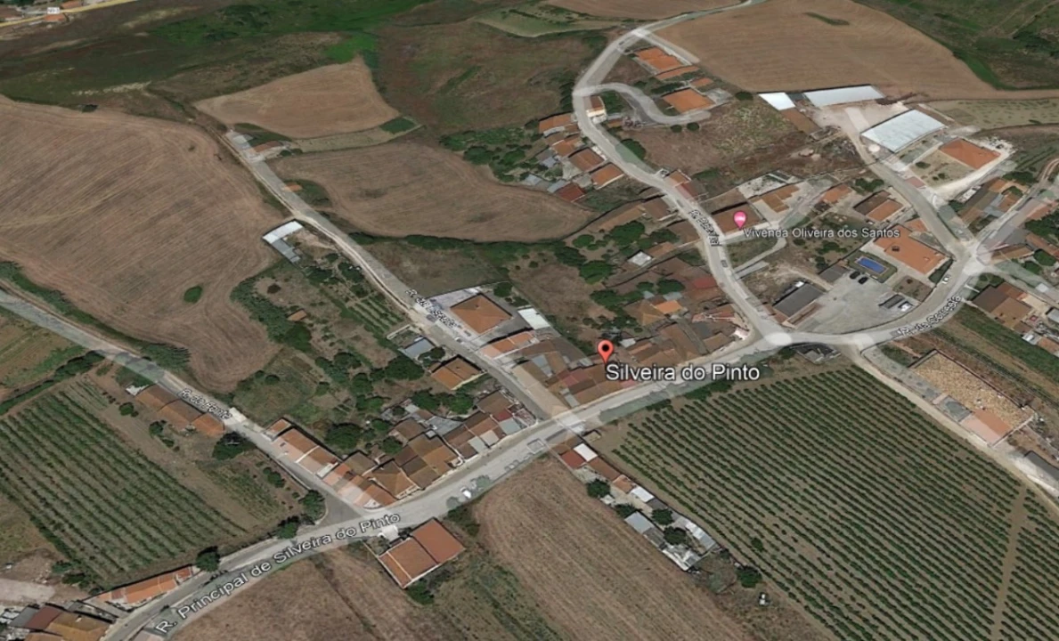 Terreno para Venda em Ribafria e Pereiro de Palhacana Foto 5