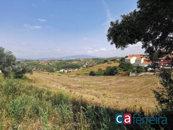 Terreno para Venda em Ribafria e Pereiro de Palhacana Foto 1