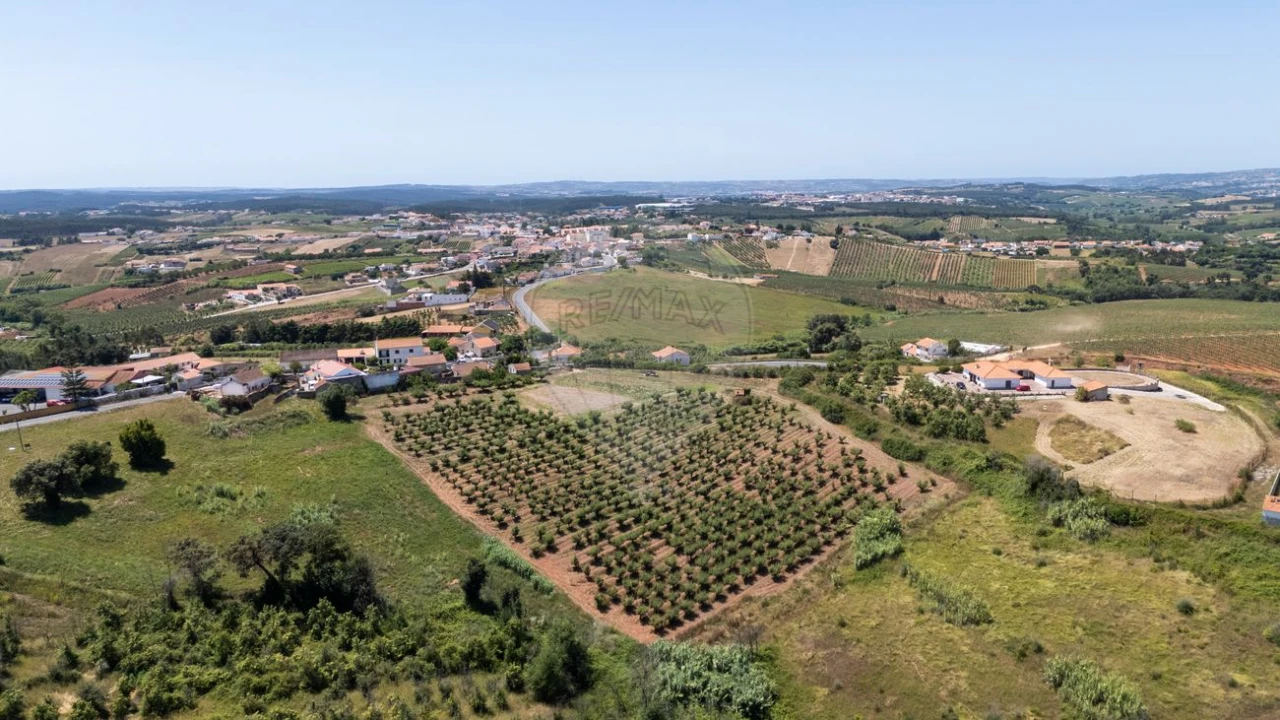 Terreno para Venda em Lamas e Cercal Foto 6