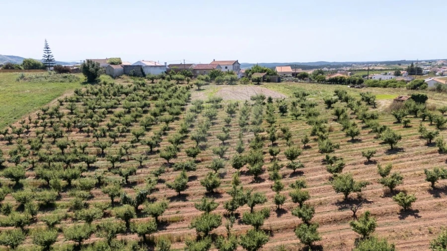 Terreno para Venda em Lamas e Cercal Foto 7