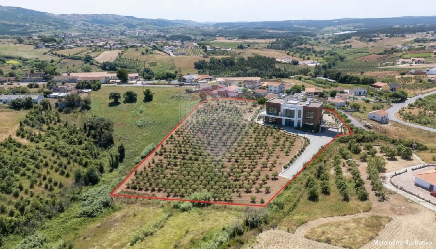 Terreno para Venda em Lamas e Cercal Foto 3